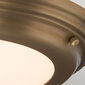 Vannitoa laevalgusti Elstead Lighting Welland WELLAND-F-AB цена и информация | Laelambid | kaup24.ee