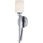 Seinavalgusti Elstead Lighting Taylor QZ-TAYLOR1L-BATH hind ja info | Seinavalgustid | kaup24.ee