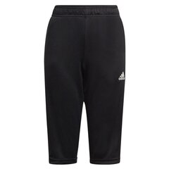 Спортивные штаны для мальчиков Adidas Tiro 21 GM7373, черные цена и информация | Adidas Футбольный мяч. | kaup24.ee