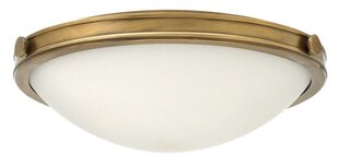 Laevalgusti Elstead Lighting Collier HK-COLLIER-F-M цена и информация | Потолочные светильники | kaup24.ee