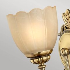 Настенный светильник Elstead Lighting Isabella HK-ISABELLA1-BATH цена и информация | Настенные светильники | kaup24.ee
