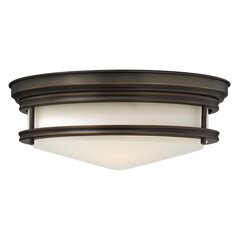 Laevalgusti Elstead Lighting Hadley HK-HADLEY-F-OZ цена и информация | Потолочные светильники | kaup24.ee