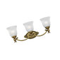 Seinavalgusti Elstead Lighting Francoise HK-FRANCOISE3-BATH цена и информация | Seinavalgustid | kaup24.ee