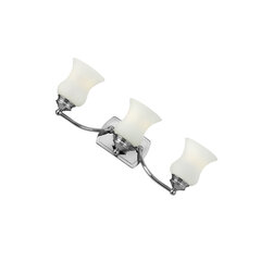 Seinavalgusti Elstead Lighting Constance HK-CONSTANCE3-BATH hind ja info | Seinavalgustid | kaup24.ee