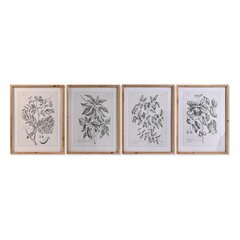 Картина из четырех частей Лекарственные растения цена и информация | Картины, живопись | kaup24.ee