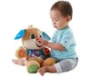 Fisher-Price eestikeelne laulukoer, poiss цена и информация | Pehmed mänguasjad | kaup24.ee