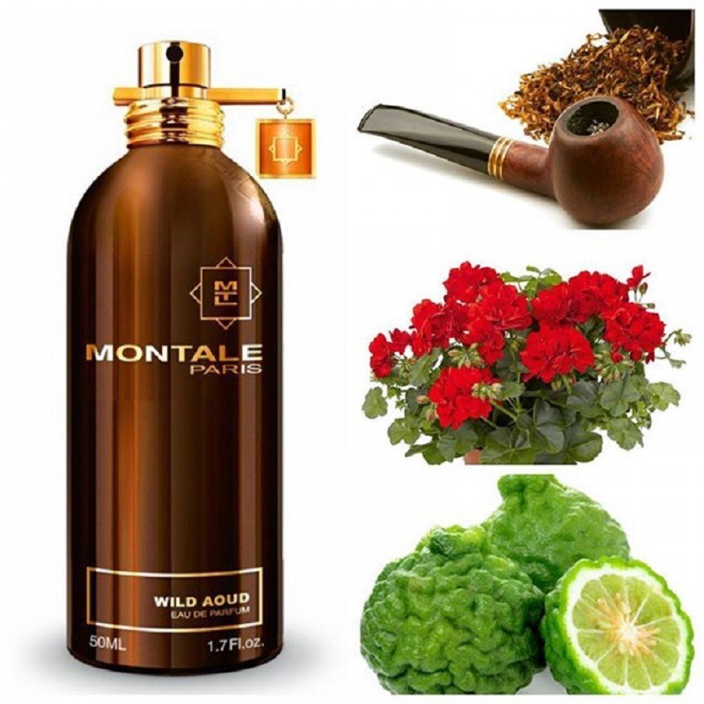 Montale Paris Wild Aoud EDP unisex 100 ml цена и информация | Naiste parfüümid | kaup24.ee