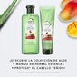 Šampoon Shampoo Herbal Botanicals Aloe and Mango, 380 ml hind ja info | Šampoonid | kaup24.ee