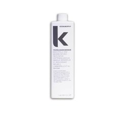 Juuksemask kahjustatud juustele Kevin Murphy Young Again Masque 1000 ml цена и информация | Маски, масла, сыворотки | kaup24.ee