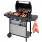 Gaasigrill Campingaz Grill Classic LX Vario Series 2 hind ja info | Grillid | kaup24.ee