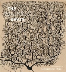 Beautiful Brain: The Drawings of Santiago Ramon y Cajal hind ja info | Kunstiraamatud | kaup24.ee