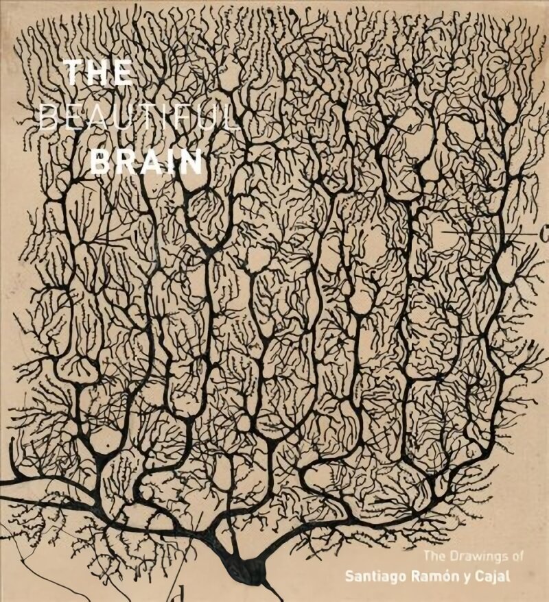 Beautiful Brain: The Drawings of Santiago Ramon y Cajal цена и информация | Kunstiraamatud | kaup24.ee