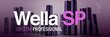 Wella SP Elegant Shape volüümisprei 300 ml цена и информация | Viimistlusvahendid juustele | kaup24.ee