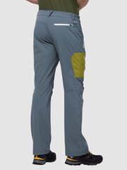 Мужские спортивные брюки JACK WOLFSKIN Overland M, серые цена и информация | Мужская спортивная одежда | kaup24.ee
