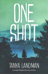 One Shot цена и информация | Книги для подростков и молодежи | kaup24.ee