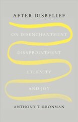 After Disbelief: On Disenchantment, Disappointment, Eternity, and Joy цена и информация | Духовная литература | kaup24.ee