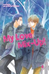 My Love Mix-Up!, Vol. 4 цена и информация | Фантастика, фэнтези | kaup24.ee