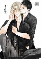 Black or White, Vol. 4 цена и информация | Фантастика, фэнтези | kaup24.ee