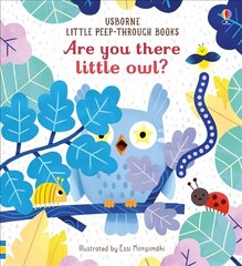 Are you there little Owl? hind ja info | Väikelaste raamatud | kaup24.ee