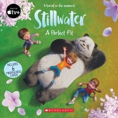 Stillwater: A Perfect Fit цена и информация | Книги для подростков и молодежи | kaup24.ee