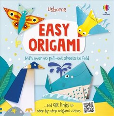Easy Origami цена и информация | Книги для малышей | kaup24.ee