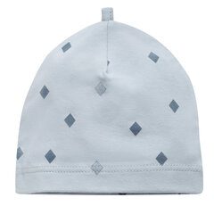 Müts CHARLIE 1-02-2205-08-1074 цена и информация | Шапки, перчатки, шарфики для новорожденных | kaup24.ee