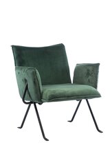 Elutoa tugitool jalavaevaga Element Melissa Designer chair, roheline цена и информация | Кресла в гостиную | kaup24.ee