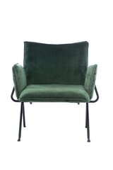 Elutoa tugitool jalavaevaga Element Melissa Designer chair, roheline цена и информация | Кресла в гостиную | kaup24.ee