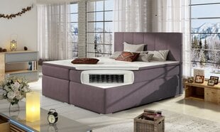 Кровать Bolero 160x200 см, коричневая цена и информация | Кровати | kaup24.ee