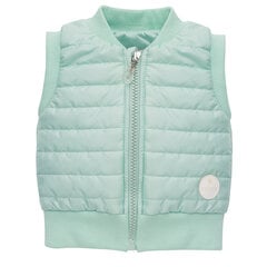Vest SL 62 MI 1-02-06-380H-104MI цена и информация | Кофточки, джемперы, пиджаки для младенцев | kaup24.ee