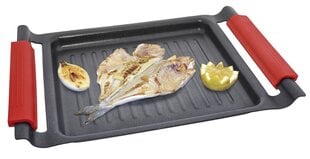 Grillpann Jata 28 x 24 cm hind ja info | Pannid | kaup24.ee