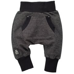 Joggers HAPPY DAY 62 CZ 1-1-118-520-110CZ цена и информация | Штаны для младенцев | kaup24.ee