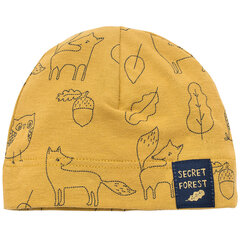 Müts SECRET FOREST 62 CD 1-02-02-040O-080CD цена и информация | Шапки, перчатки, шарфики для новорожденных | kaup24.ee