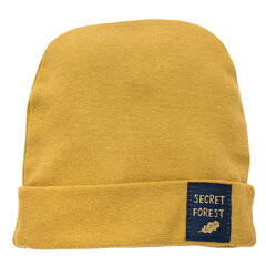 Müts SECRET FOREST 56 CU 1-02-02-040L-074CU цена и информация | Шапки, перчатки, шарфики для новорожденных | kaup24.ee