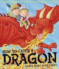 How To Catch a Dragon цена и информация | Книги для малышей | kaup24.ee