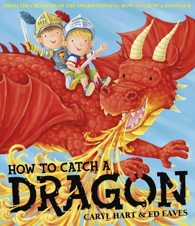 How To Catch a Dragon цена и информация | Väikelaste raamatud | kaup24.ee