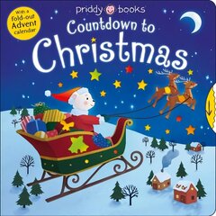 Countdown To Christmas hind ja info | Väikelaste raamatud | kaup24.ee