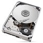 Seagate IronWolf Pro, 14TB (ST14000NT001) hind ja info | Sisemised kõvakettad (HDD, SSD, Hybrid) | kaup24.ee