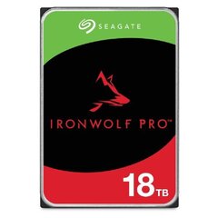 Seagate IronWolf Pro, 18TB (ST18000NT001) цена и информация | Внутренние жёсткие диски (HDD, SSD, Hybrid) | kaup24.ee