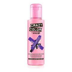 Kauapüsiv juuksevärv Crazy Color, 100 ml, Nº 43 Violette hind ja info | Juuksevärvid | kaup24.ee