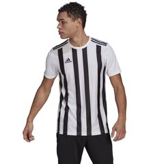 Meeste jalgpallisärk Adidas Striped 21 GV1377, valge цена и информация | Футбольная форма и другие товары | kaup24.ee