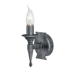 Настенный светильник Elstead Lighting Saxon SAX1-BLK-SIL цена и информация | Настенные светильники | kaup24.ee