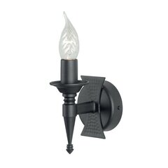 Настенный светильник Elstead Lighting Saxon SAX1-BLK цена и информация | Настенные светильники | kaup24.ee