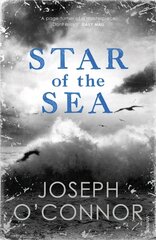 Star of the Sea: THE MILLION COPY BESTSELLER цена и информация | Фантастика, фэнтези | kaup24.ee