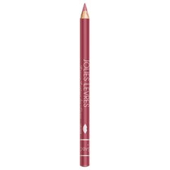 Vivienne Sabo Карандаш для губ Lip Pencil Jolies Lèvres, 1,4 g, 107 · Warm pink цена и информация | Помады, бальзамы, блеск для губ | kaup24.ee