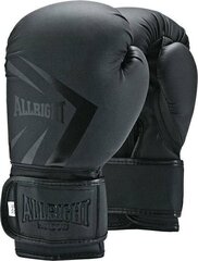 Боксерские перчатки Allright Shadow 14oz цена и информация | Allright Сетевой | kaup24.ee