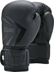 Боксерские перчатки Allright Shadow 10oz цена и информация | Боевые искусства | kaup24.ee