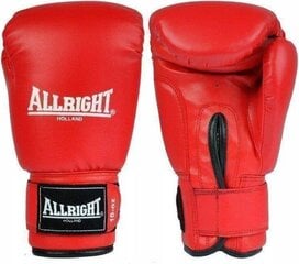 Боксерские перчатки Allright TRAINING PRO 12oz красного цвета цена и информация | Боевые искусства | kaup24.ee