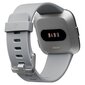 Fitbit Versa Grey/Silver цена и информация | Nutikellad (smartwatch) | kaup24.ee