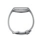 Fitbit Versa Grey/Silver hind ja info | Nutikellad (smartwatch) | kaup24.ee